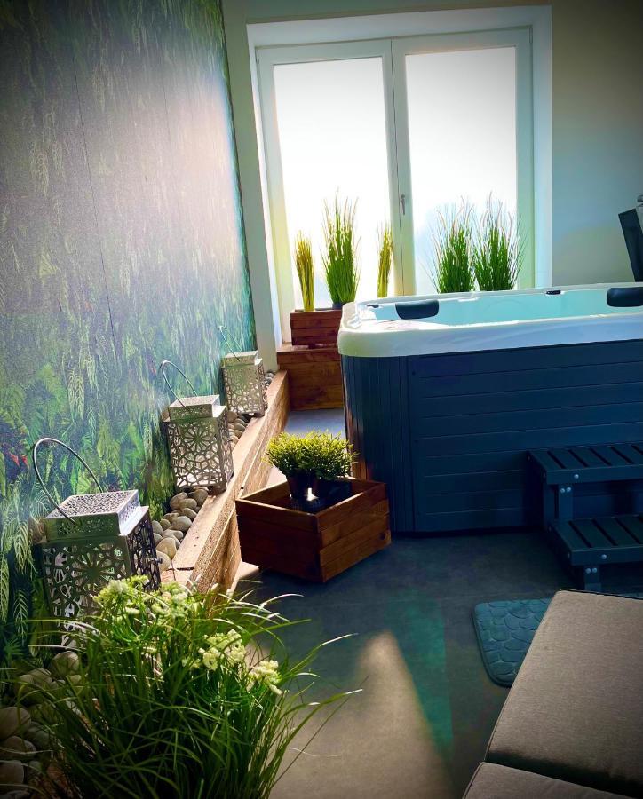 Le Manoir Des Haies Spa Les Champs-Géraux Eksteriør billede